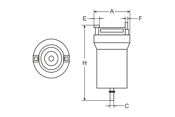 FP304